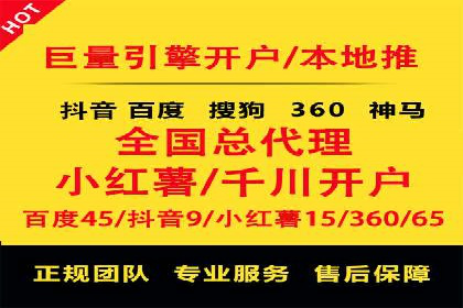 百度联盟推广网络覆盖的案例研究